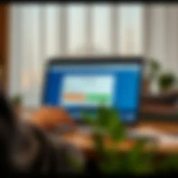 A secure online loan application interface